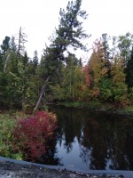 IMG_20190912_125754.jpg