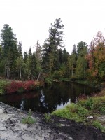 IMG_20190912_125730.jpg