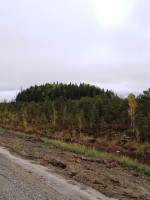 IMG_20190912_141620.jpg