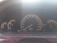 IMG_1537.jpg