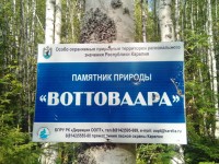 IMG_20190818_155708.jpg