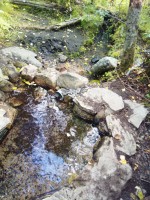 IMG_20190818_155825.jpg