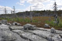 _DSC0399.JPG