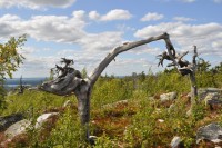 _DSC0378.JPG