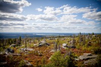 _MG_6184.jpg