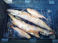 IMG_20190820_181414.jpg