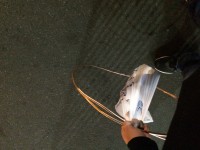 9A36CA1B-9466-4ECB-A786-8EE08AE258B0.jpeg