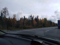 IMG_20190917_135929.jpg