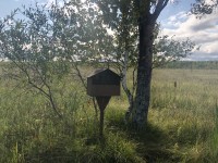 IMG_0090.JPG