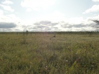 DSC08656.JPG