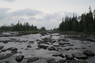 IMG_1501.jpg