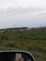 IMG-20190918-WA0015.jpg
