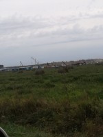 IMG-20190918-WA0010.jpg