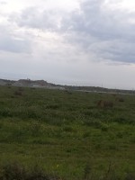 IMG-20190918-WA0014.jpg