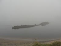 DSC08731.JPG
