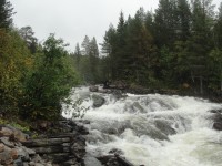 DSC08684.JPG