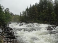 DSC08683.JPG