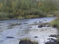 DSC08746.JPG