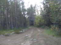 DSC08742.JPG