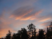 DSC08790.JPG