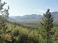DSC08771.JPG