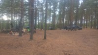 WP_20190920_17_13_07_Pro.jpg