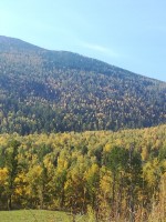 IMG-20190922-WA0067.jpg