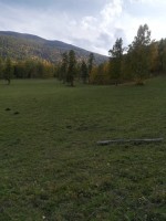 IMG-20190922-WA0055.jpg