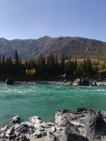 IMG-20190922-WA0054.jpg