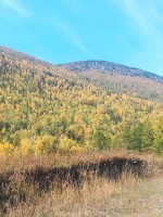 IMG-20190922-WA0073.jpg
