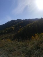 IMG-20190922-WA0048.jpg