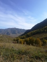 IMG-20190922-WA0047.jpg