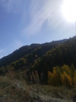 IMG-20190922-WA0033.jpg