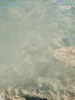 IMG_20190922_124601.jpg