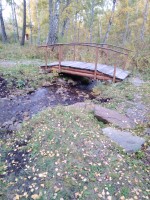 IMG_20190921_175049.jpg