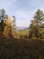 IMG_20190921_164956.jpg
