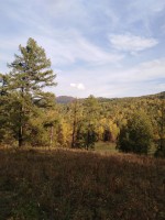 IMG_20190921_164958.jpg