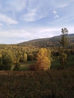 IMG_20190921_164959.jpg