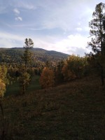IMG_20190921_165001.jpg