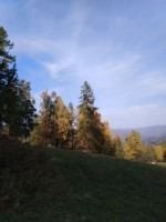 IMG_20190921_165311.jpg