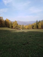 IMG_20190921_165337.jpg