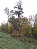 IMG_20190921_172823.jpg