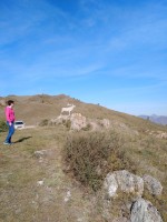 IMG_20190922_103913.jpg