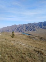 IMG_20190922_103948.jpg