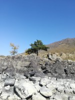 IMG-20190922-WA0057.jpg