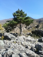 IMG-20190922-WA0087.jpg