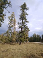IMG_20190923_160032.jpg