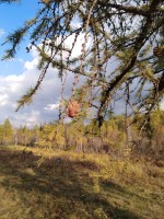 IMG_20190923_173412.jpg