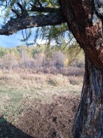 IMG_20190923_173420.jpg