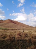 IMG_20190923_173433.jpg